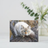 Siberian Cat In A Autumn Forest Briefkaart (Staand voorkant)