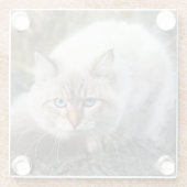 Siberian Cat In A Autumn Forest Glazen Onderzetter (Achterkant)