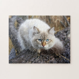 Siberian Cat In A Autumn Forest Legpuzzel