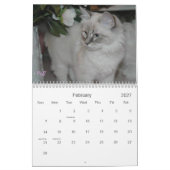 SIBERIAN CATS 2007 Agenda... Kalender (Feb 2027)