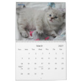 SIBERIAN CATS 2007 Agenda... Kalender (Mar 2027)
