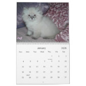 SIBERIAN CATS 2007 Agenda... Kalender (Jan 2026)