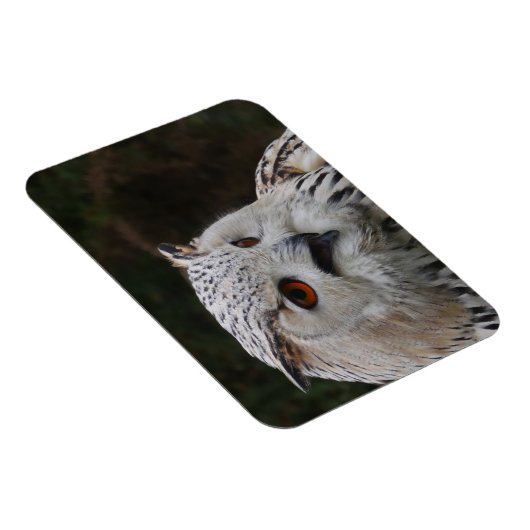 Siberian Eagle Owl Magnet Magneet (Rechterzijde)