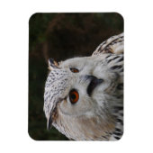 Siberian Eagle Owl Magnet Magneet (Verticaal)