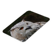 Siberian Eagle Owl Magnet Magneet (Linkerzijde)