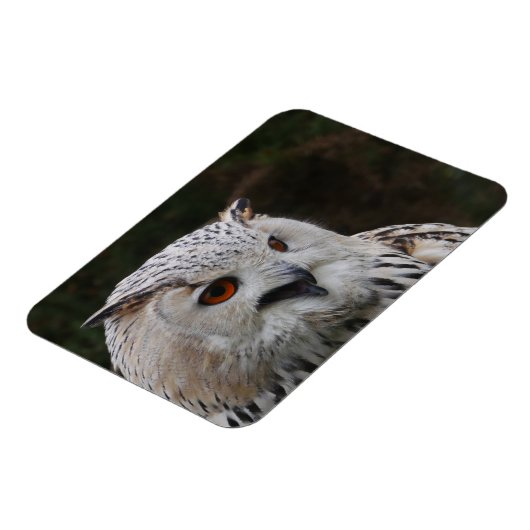 Siberian Eagle Owl Magnet Magneet (Linkerzijde)