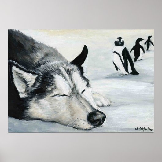 "Siberian Huskey's Penquin Dream" Poster van de Do (Voorkant)