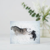 Siberian Huskies Briefkaart (Staand voorkant)