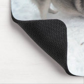 Siberian Huskies - Mousepad Muismat (Hoek)