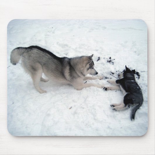 Siberian Huskies - Mousepad Muismat (Voorkant)