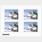 Siberian Huskies Rechthoekige Sticker (Vel)