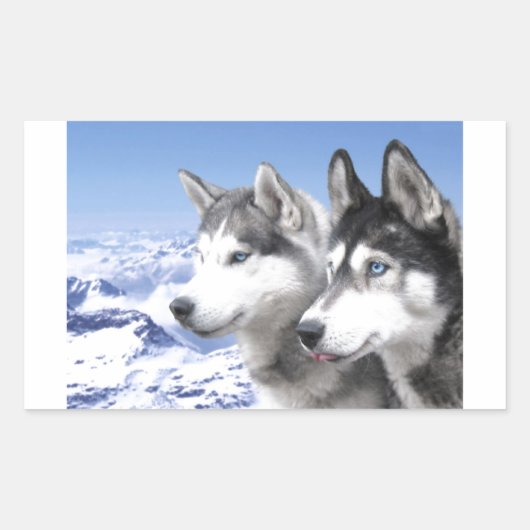 Siberian Huskies Rechthoekige Sticker (Voorkant)