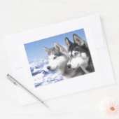 Siberian Huskies Rechthoekige Sticker (Envelop)