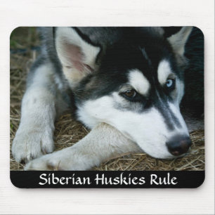 Siberian Huskies Rule Mousepad Muismat