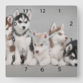 Siberian Huskies Square Wall klok (Voorkant)