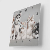 Siberian Huskies Square Wall klok (Hoek)