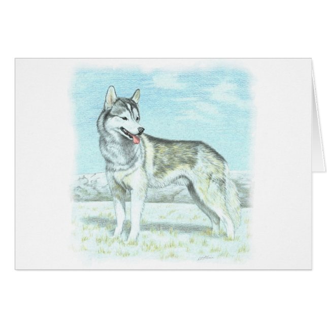 Siberian Husky (Voorkant Horizontaal)