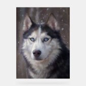 Siberian Husky Acryl Bord (Voorkant)