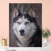 Siberian Husky Acryl Bord (Huwelijk)