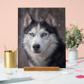 Siberian Husky Acryl Bord (Huwelijk)