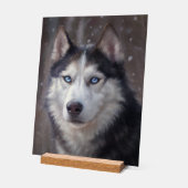 Siberian Husky Acryl Bord (Hoek)