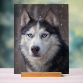 Siberian Husky Acryl Bord (Neutraal)