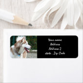 Siberian Husky Adresetiketten Etiket (Insitu)