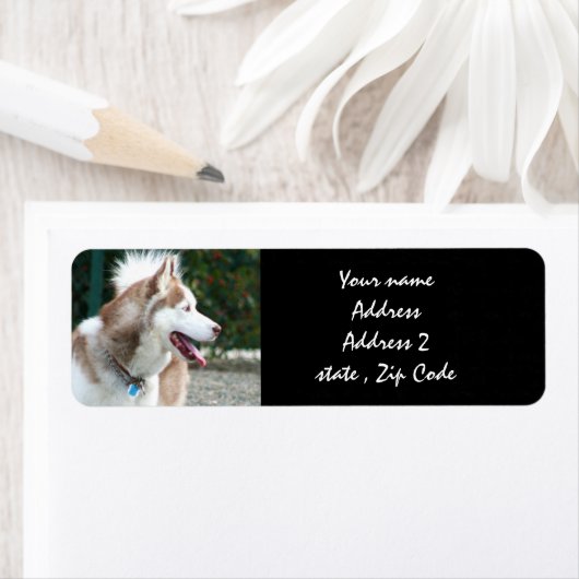 Siberian Husky Adresetiketten Etiket (Insitu)