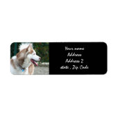 Siberian Husky Adresetiketten Etiket (Voorkant)