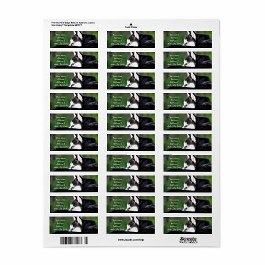 Siberian Husky Adresetiketten Etiket (Full Sheet)