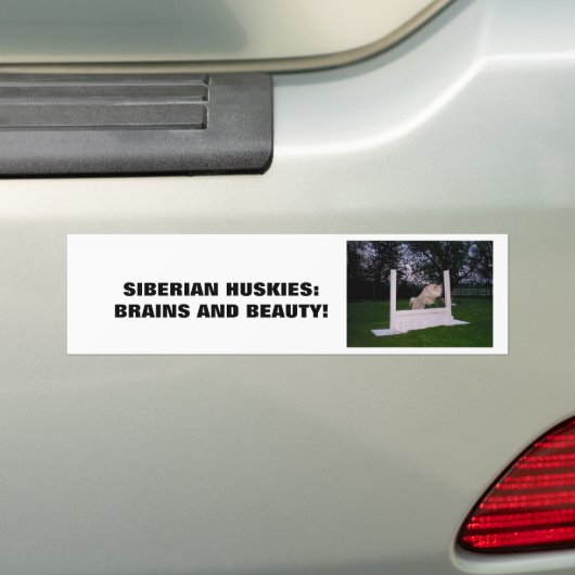 Siberian HUSKY Agility Bumpersticker (Op auto)