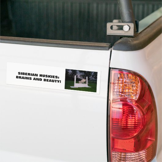 Siberian HUSKY Agility Bumpersticker (Op Truck)