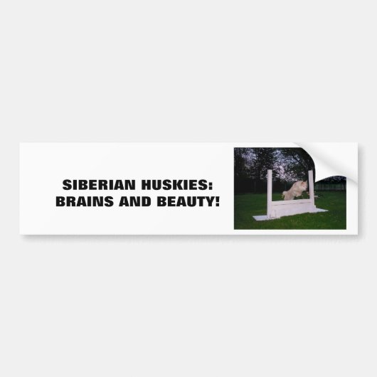 Siberian HUSKY Agility Bumpersticker (Voorkant)