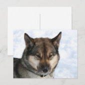 Siberian_Husky_agouti Briefkaart (Voorkant / Achterkant)