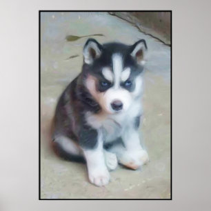 Siberian Husky Art poster