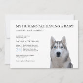 Siberian Husky Baby shower Minimalist Uitnodiging (Voorkant)
