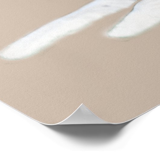 Siberian Husky Beauful Print (Hoek)