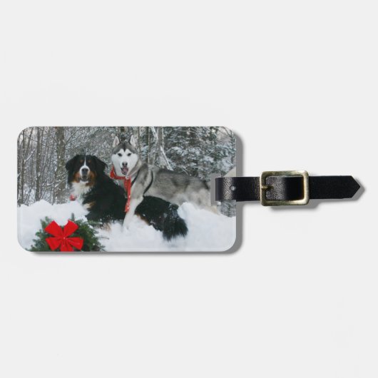 Siberian Husky Berneses Mountain Dog Bagagelabels (Voorkant horizontaal)