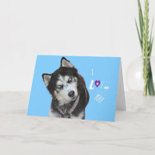 Siberian Husky Birthday Card Kaart