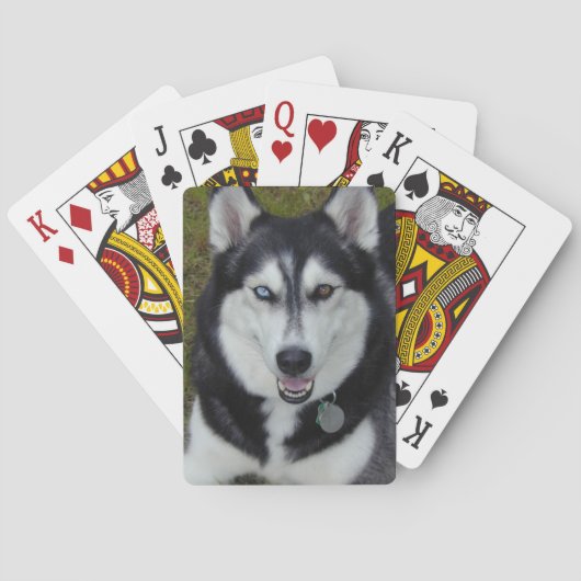 Siberian Husky Blue Brown Eyes Pokerkaarten (Achterkant)