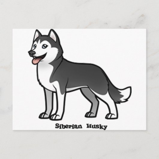 Siberian Husky Briefkaart (Voorkant)