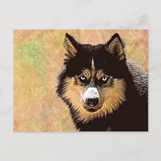 Siberian Husky Briefkaart (Voorkant)