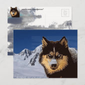 Siberian Husky Briefkaart (Voorkant / Achterkant)