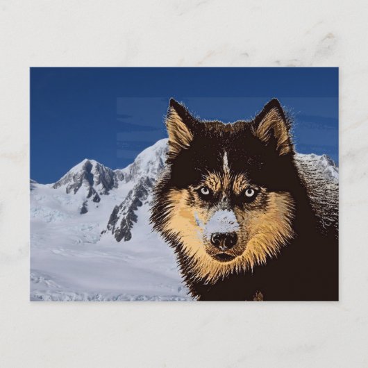Siberian Husky Briefkaart (Voorkant)