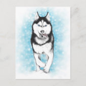Siberian Husky Briefkaart (Voorkant)