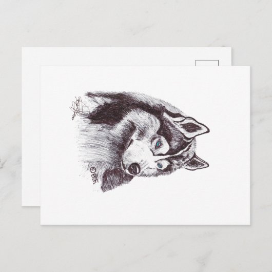 SIBERIAN HUSKY BRIEFKAART (Voorkant / Achterkant)
