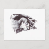 SIBERIAN HUSKY BRIEFKAART (Voorkant)