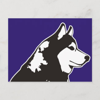 Siberian Husky Briefkaart