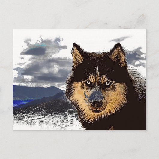 Siberian Husky Briefkaart (Voorkant)