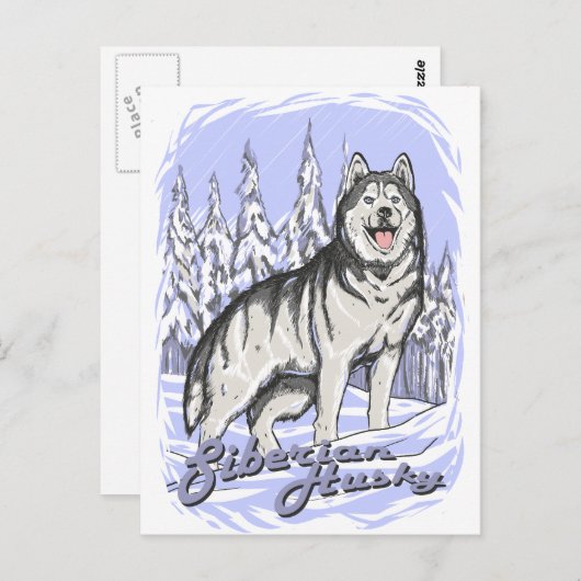 Siberian Husky Briefkaart (Voorkant / Achterkant)